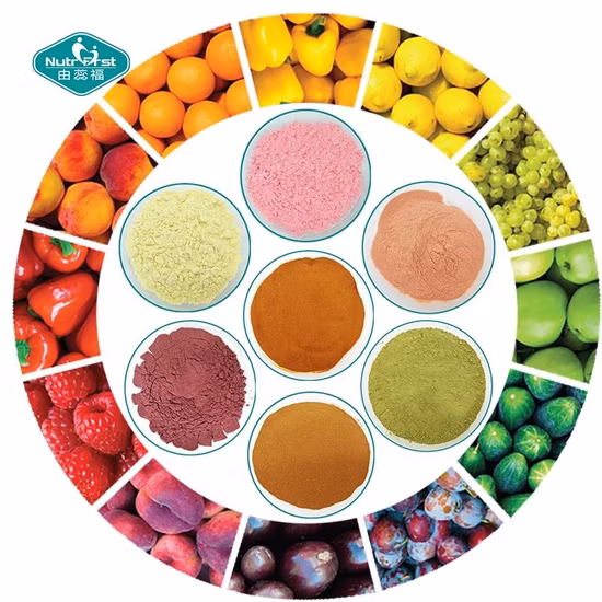 Fruits et légumes en poudre mélange de jus de Fruits secs poudre mélangée boisson poudre mélangée de Fruits biologiques