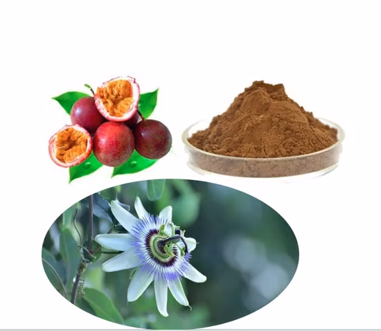 Extrait de Passiflora Incarnata personnalisé bon marché Vitexin1% ~ 5%