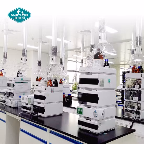 Fruits et légumes en poudre mélange de jus de Fruits secs poudre mélangée boisson poudre mélangée de Fruits biologiques